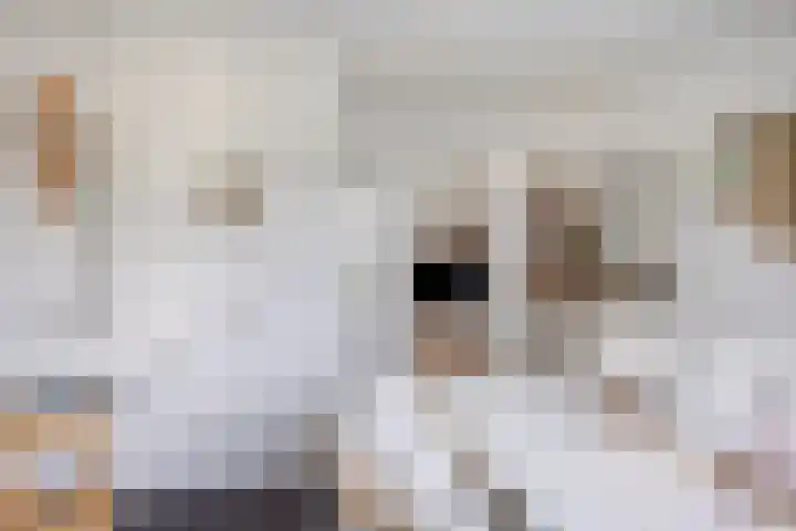 Korte Spiekerweg 3 Epe thumbnail 46