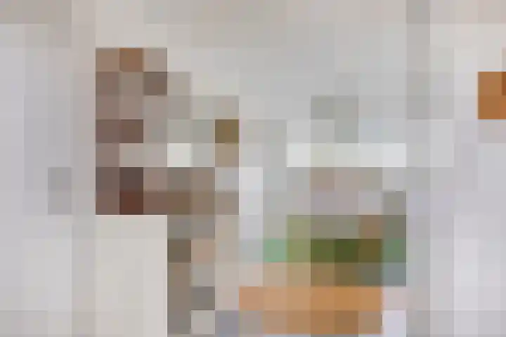 Korte Spiekerweg 3 Epe thumbnail 47