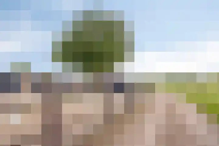 Korte Spiekerweg 3 Epe thumbnail 49