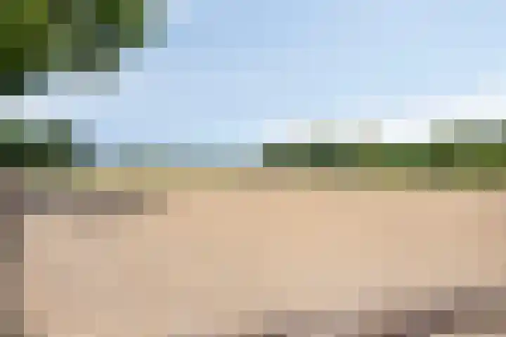 Korte Spiekerweg 3 Epe thumbnail 50