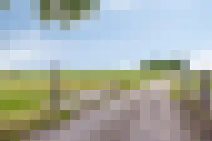 Korte Spiekerweg 3 Epe thumbnail 54