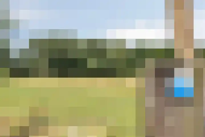 Korte Spiekerweg 3 Epe thumbnail 55
