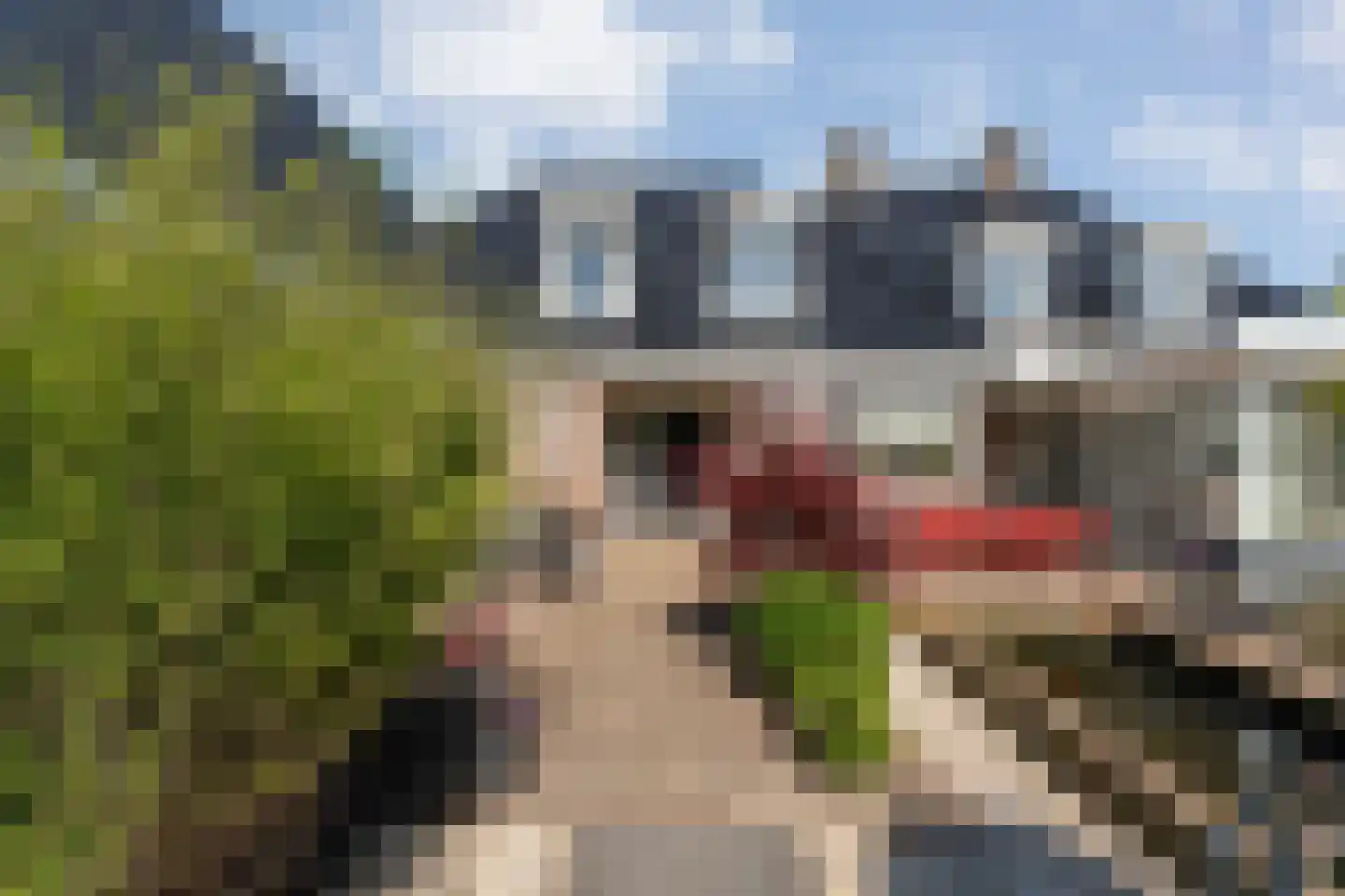 Korte Spruit 1 Hardenberg thumbnail 54