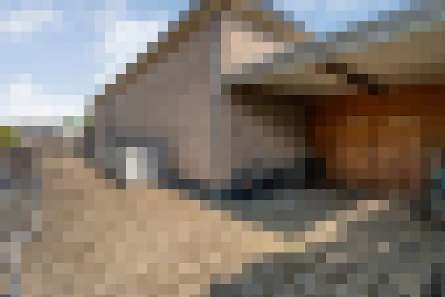 Korte Spruit 1 Hardenberg thumbnail 66