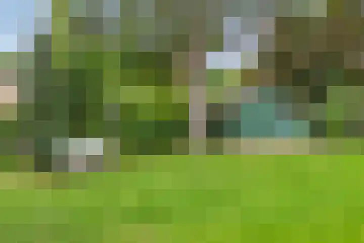 Korte Spruit 2 Beers NB thumbnail 4