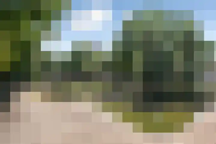 Korte Spruit 5 Schaijk thumbnail 13