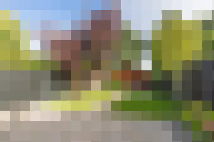 Korte Stammerdijk 22 Weesp thumbnail 4