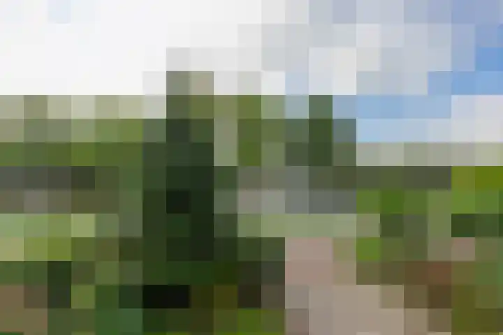 Korte Stammerdijk 22 Weesp thumbnail 44