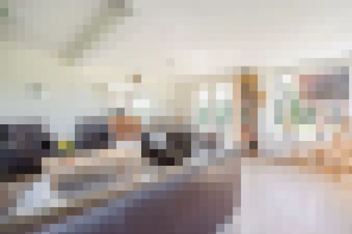 Korte Steeg 2 Schuinesloot thumbnail 10