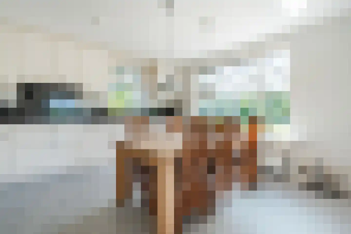 Korte Steeg 2 Schuinesloot thumbnail 13