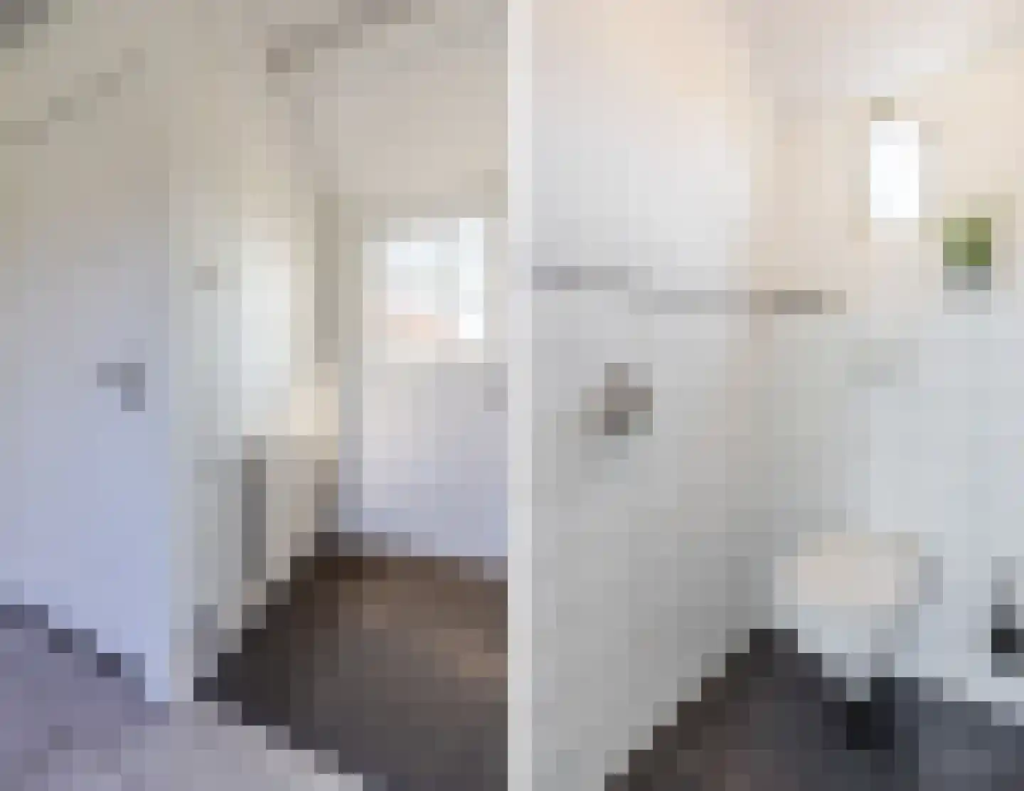 Korte Steeg 2 Schuinesloot thumbnail 42