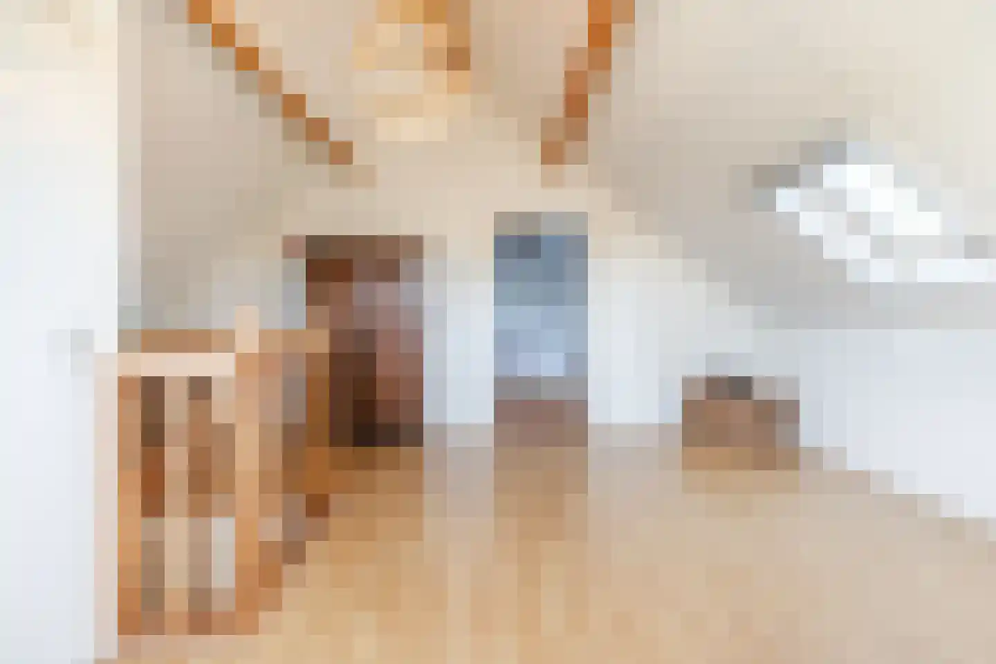 Korte Steeg 2 Schuinesloot thumbnail 46
