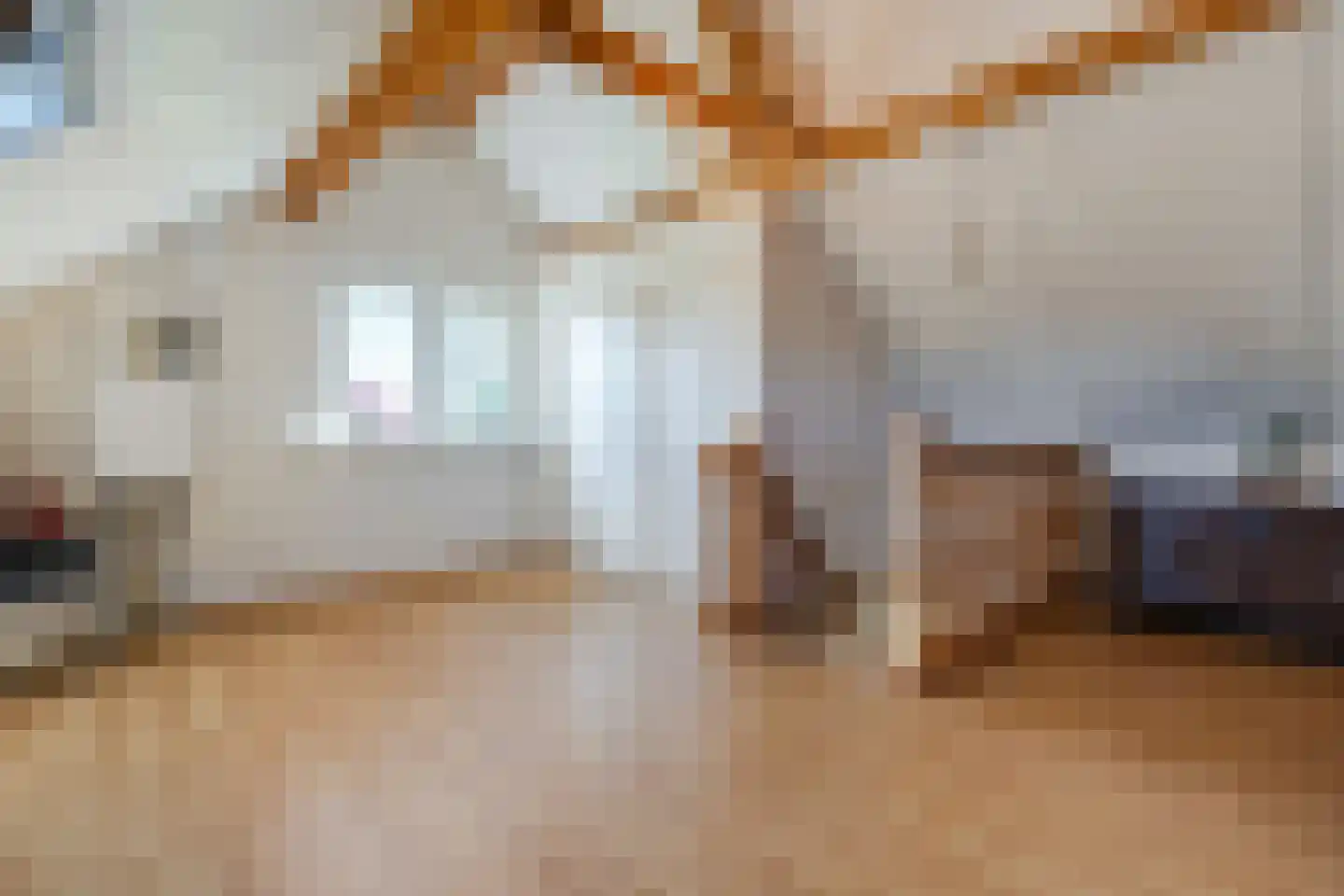 Korte Steeg 2 Schuinesloot thumbnail 48