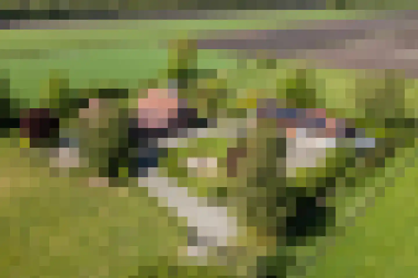 Korte Steeg 2 Schuinesloot thumbnail 57