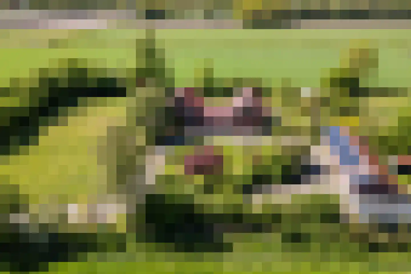 Korte Steeg 2 Schuinesloot thumbnail 58