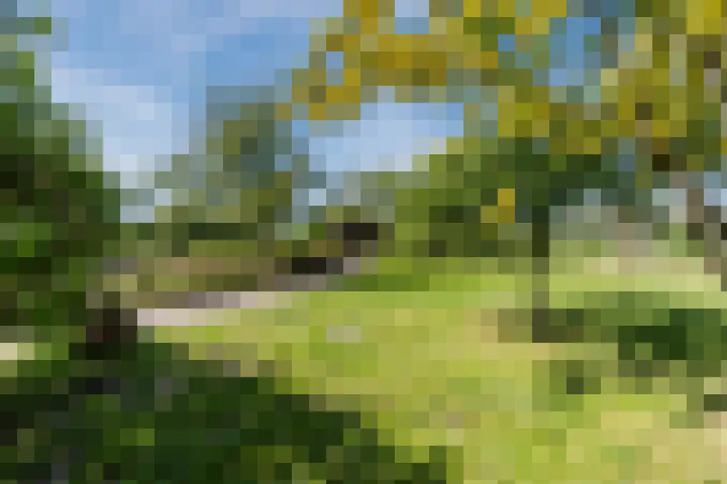 Korte Steeg 2 Schuinesloot thumbnail 59