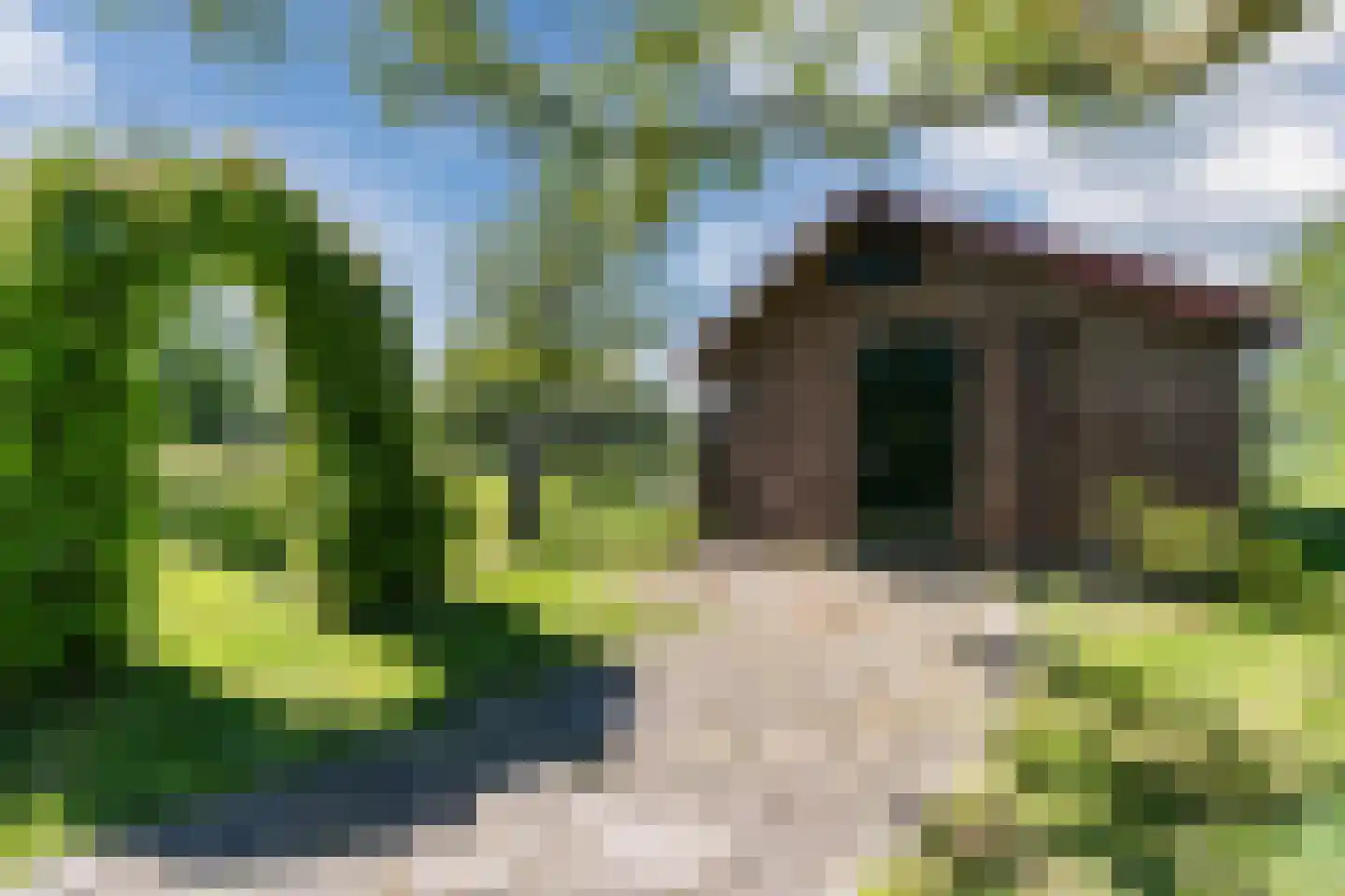 Korte Steeg 2 Schuinesloot thumbnail 60