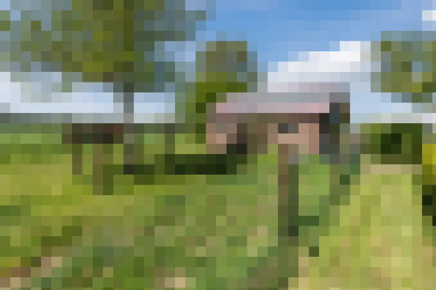 Korte Steeg 2 Schuinesloot thumbnail 61