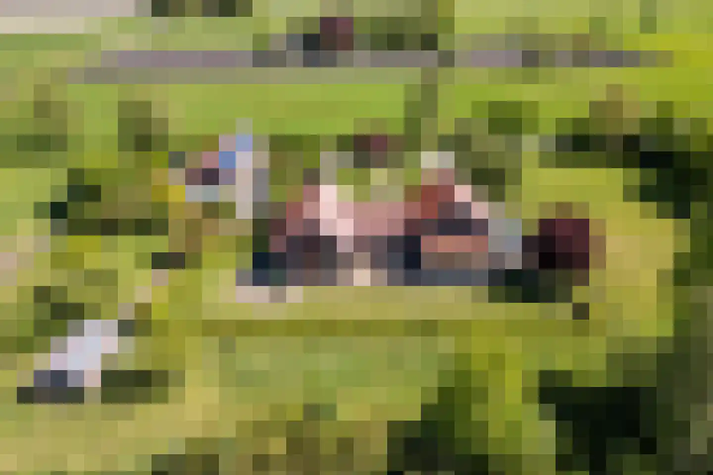 Korte Steeg 2 Schuinesloot thumbnail 65