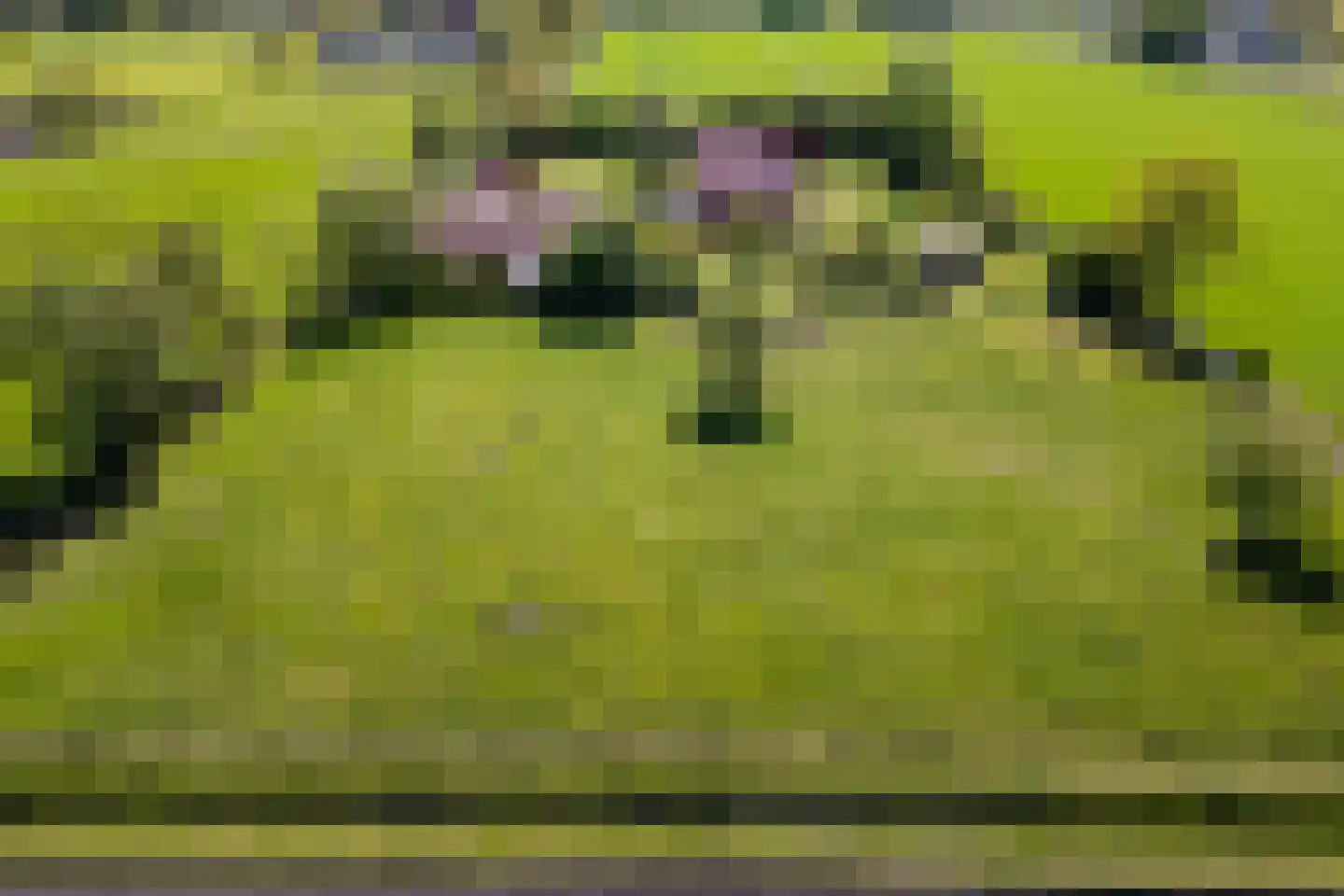 Korte Steeg 2 Schuinesloot thumbnail 75