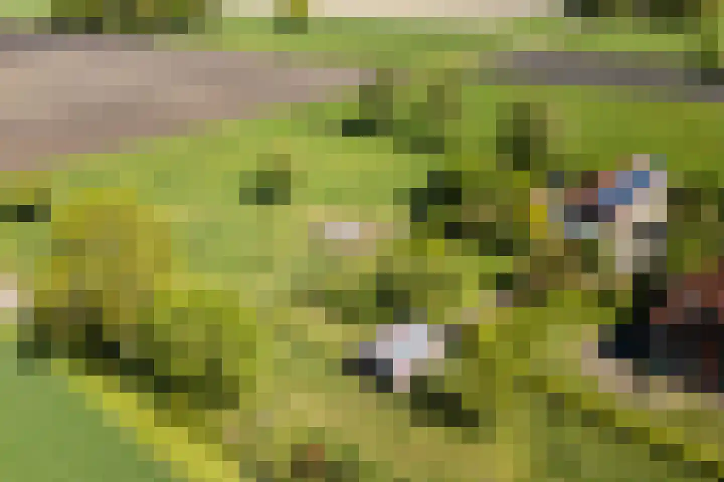 Korte Steeg 2 Schuinesloot thumbnail 76
