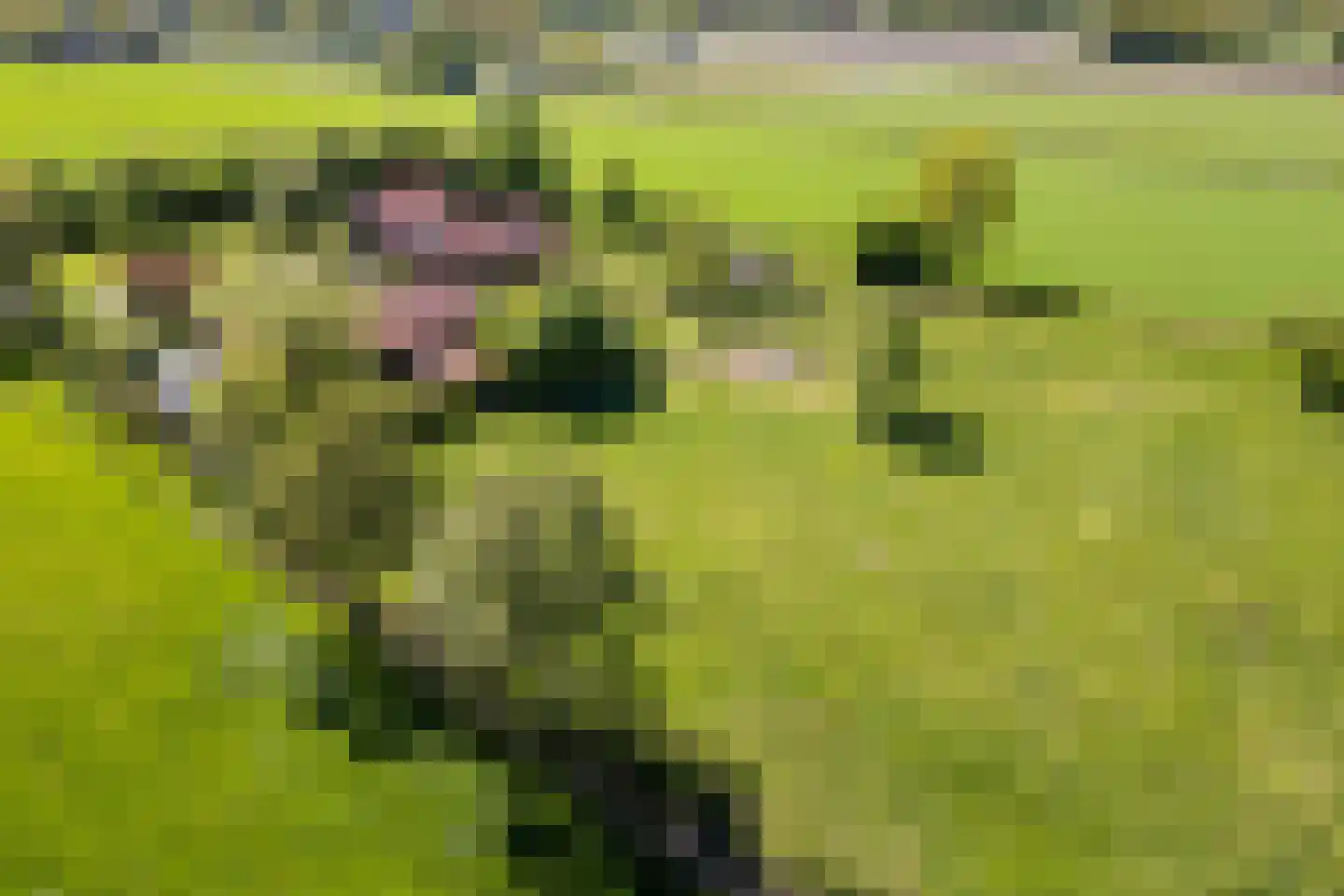 Korte Steeg 2 Schuinesloot thumbnail 77