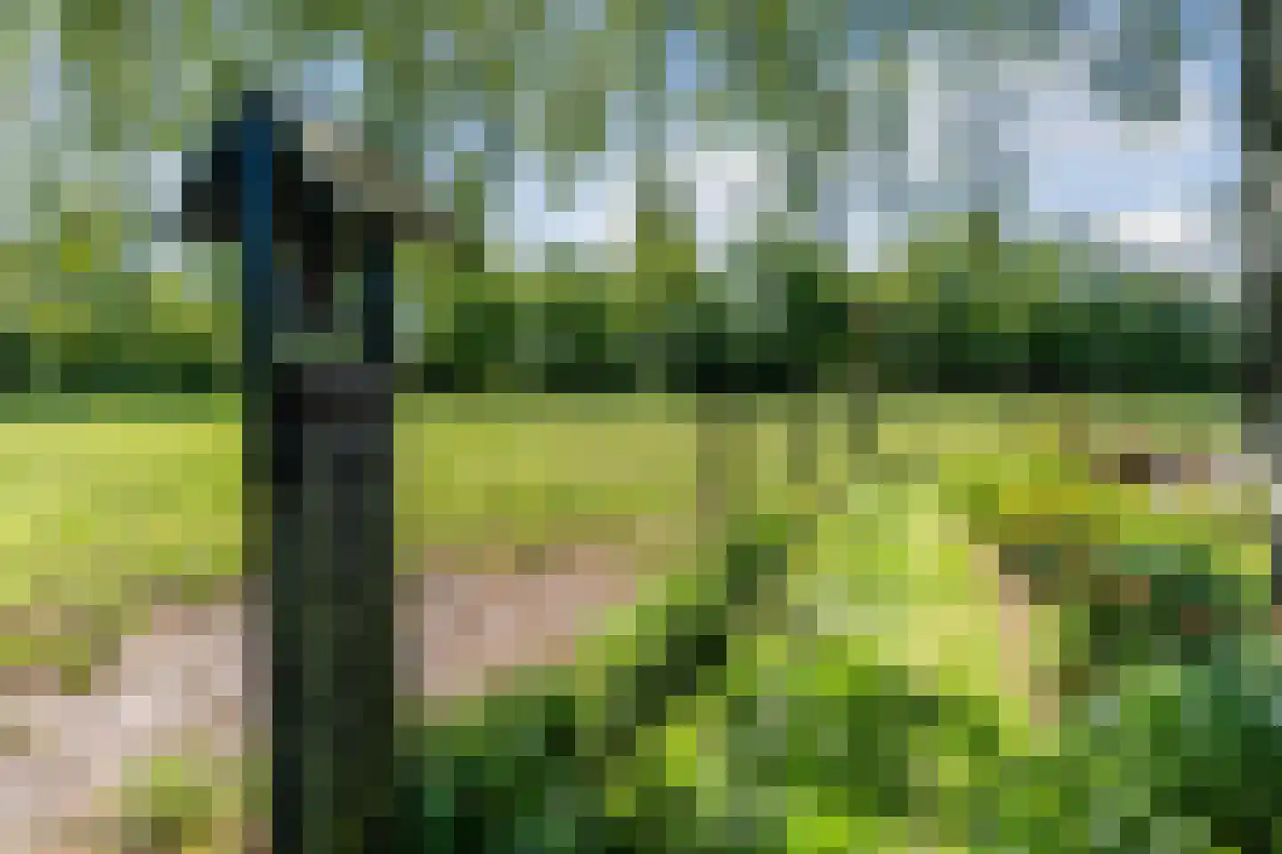 Korte Steeg 2 Schuinesloot thumbnail 78