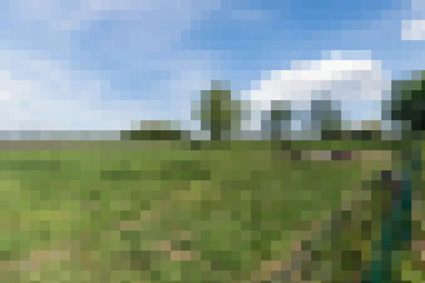 Korte Steeg 2 Schuinesloot thumbnail 79