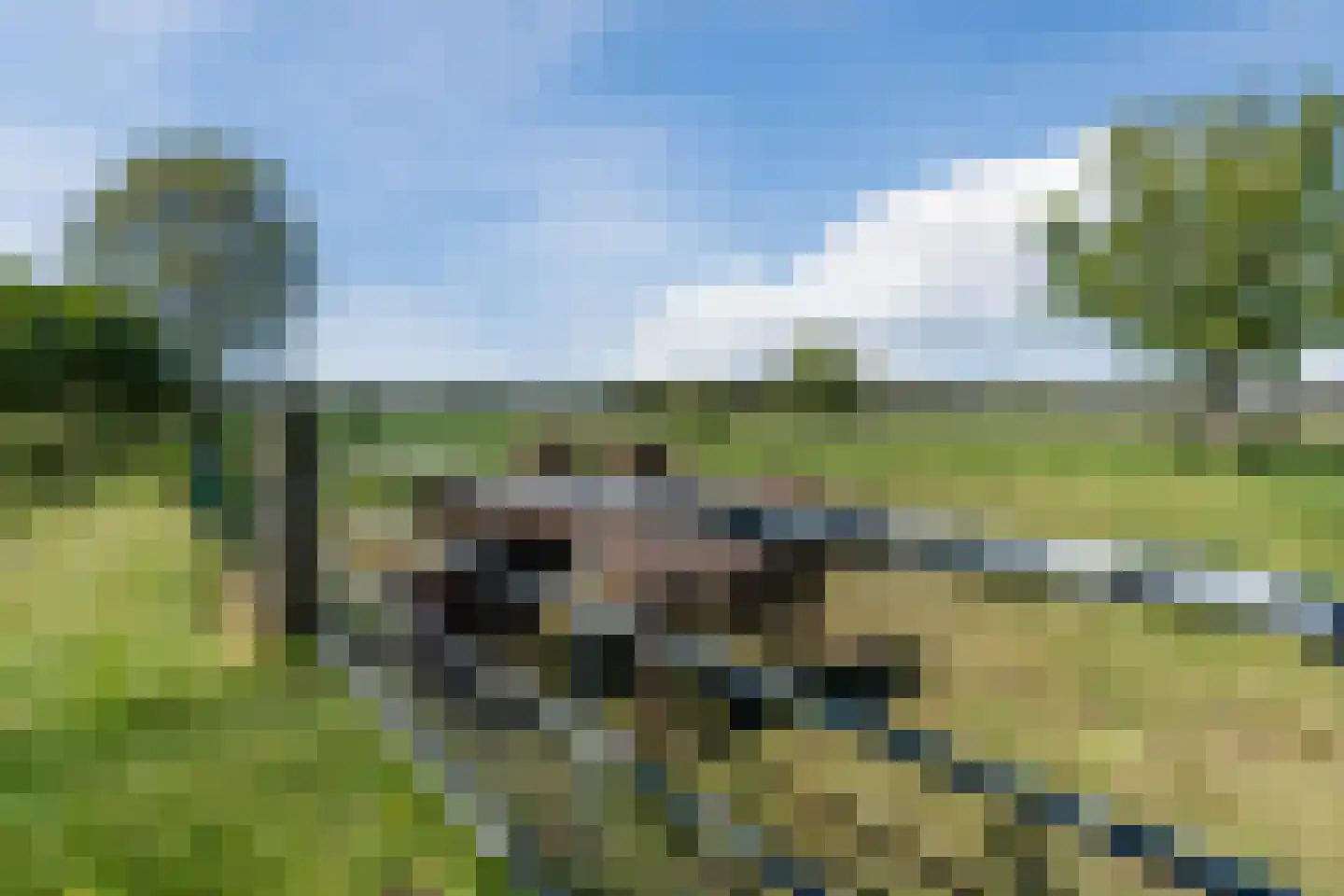 Korte Steeg 2 Schuinesloot thumbnail 80