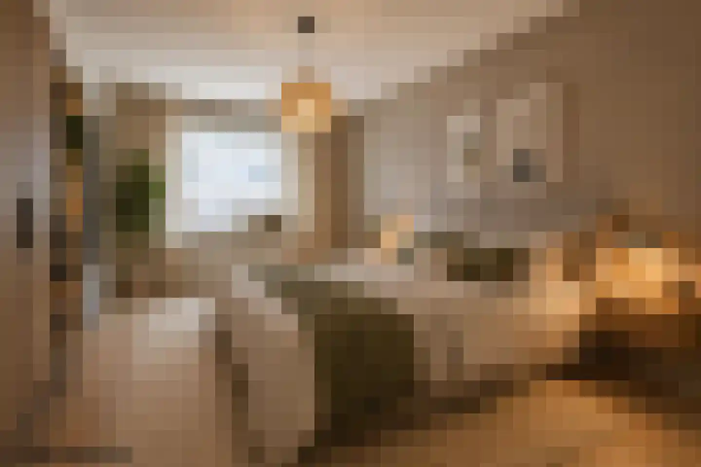 Korte Steynlaan 22 Zeist thumbnail 22