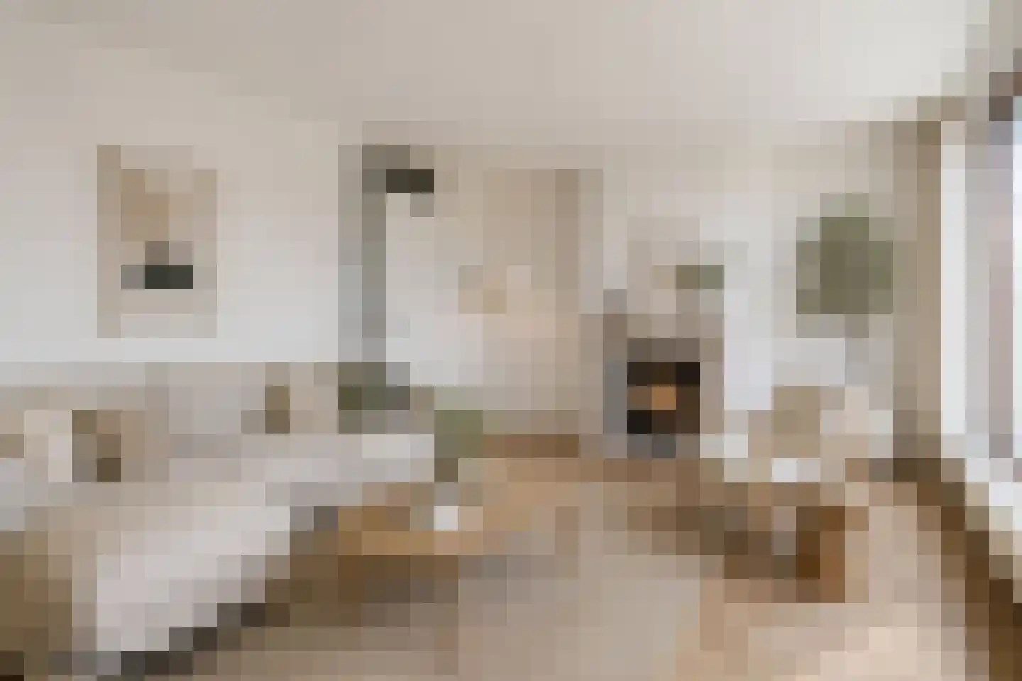 Korte Steynlaan 22 Zeist thumbnail 6