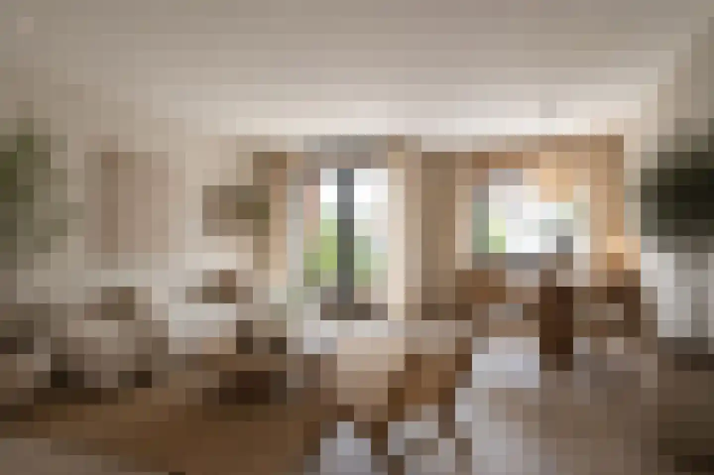 Korte Steynlaan 8 Zeist thumbnail 10