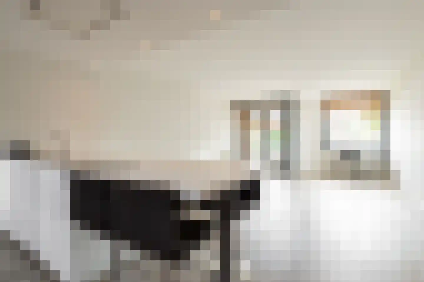 Korte Steynlaan 8 Zeist thumbnail 20