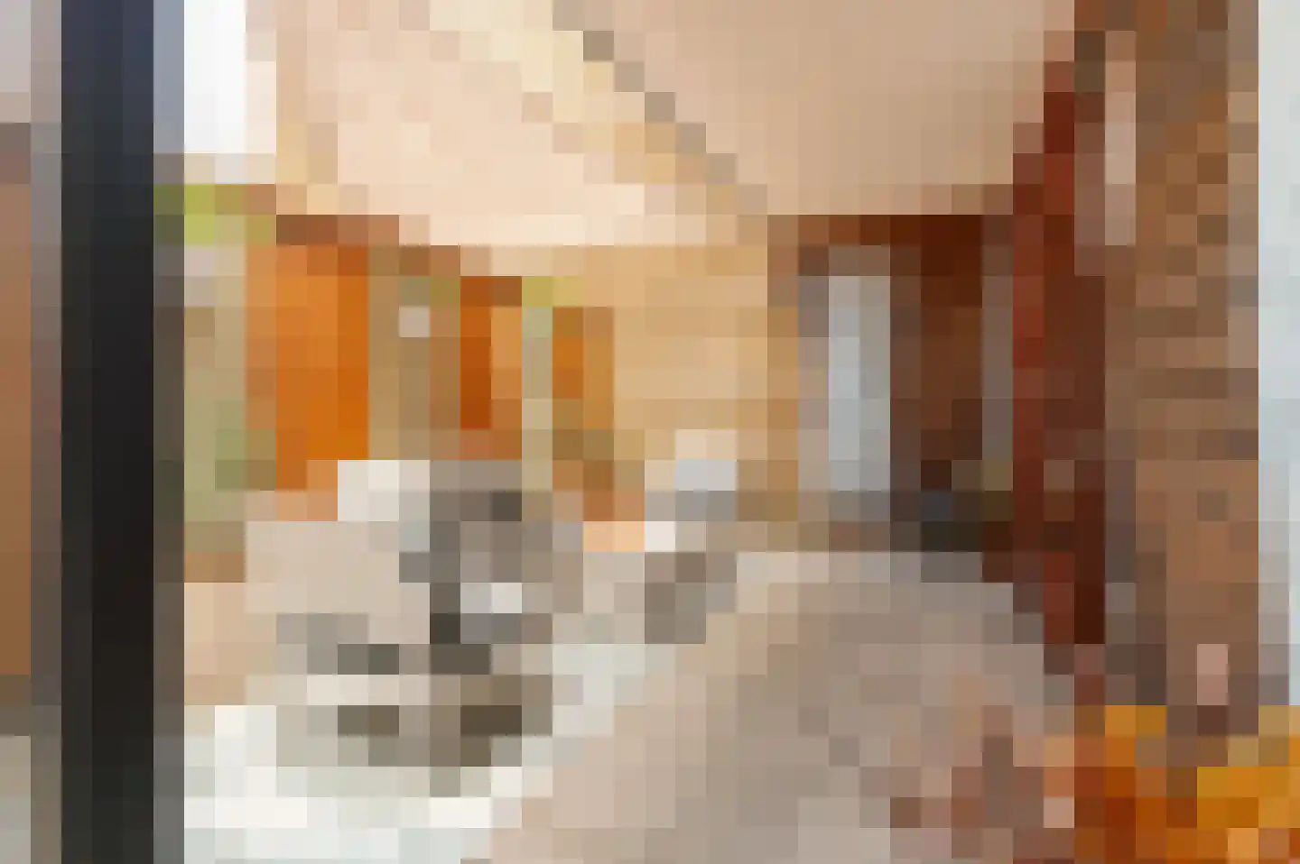 Korte Steynlaan 8 Zeist thumbnail 26