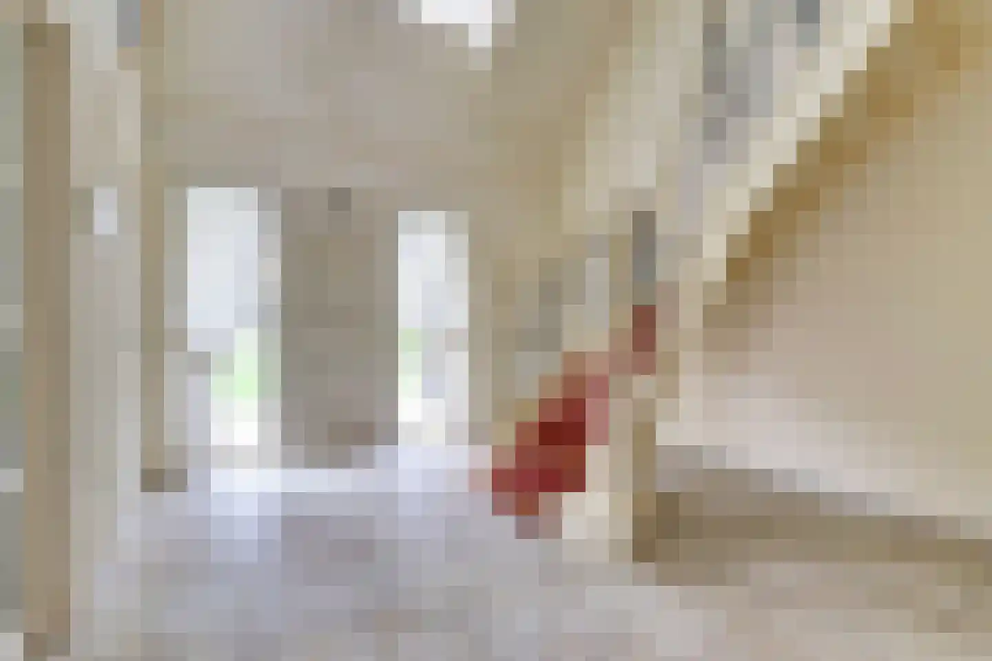 Korte Striep 3 Sint Anthonis thumbnail 14