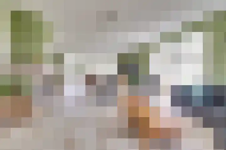 Korte Striep 3 Sint Anthonis thumbnail 20