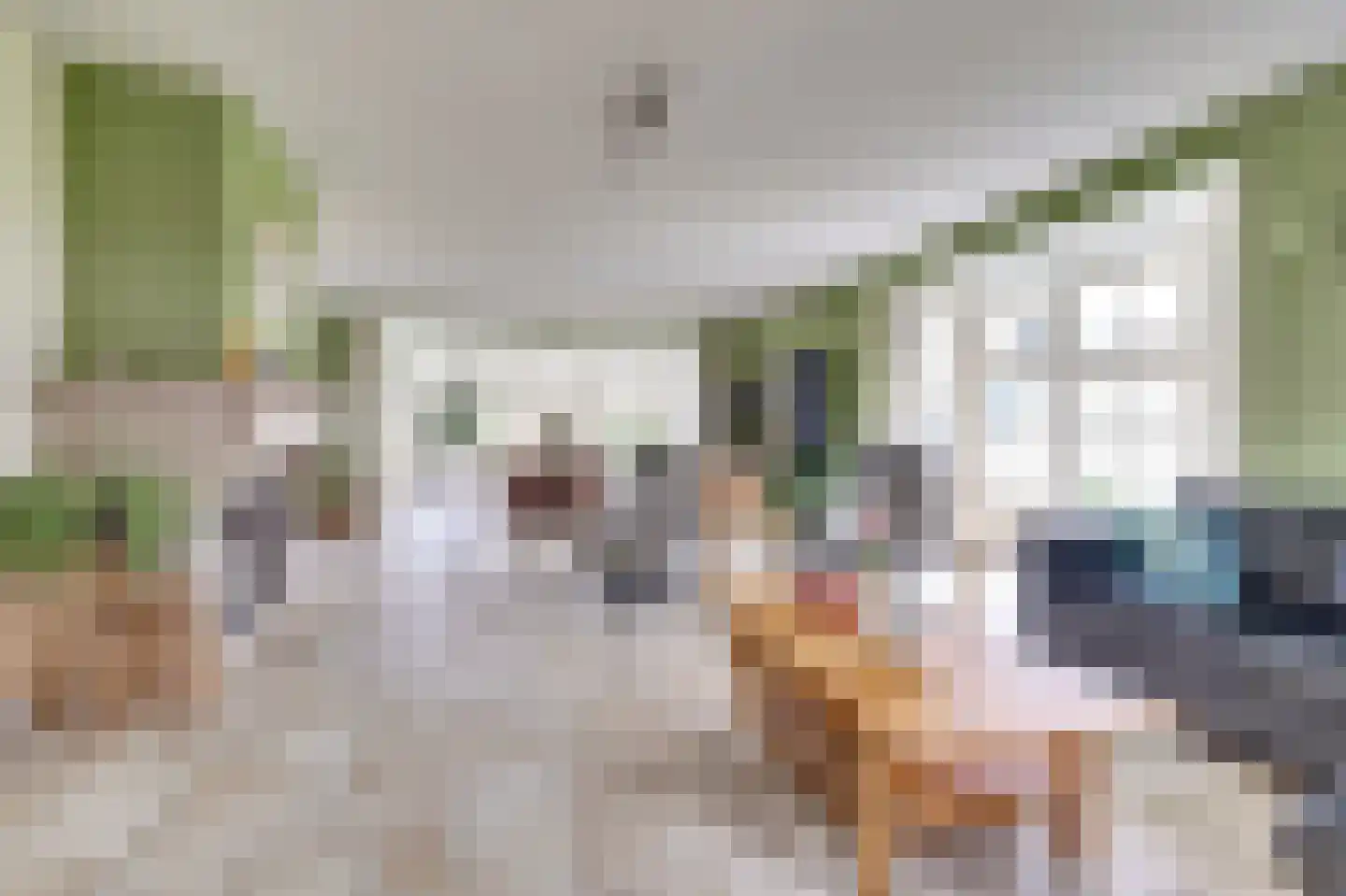 Korte Striep 3 Sint Anthonis thumbnail 20