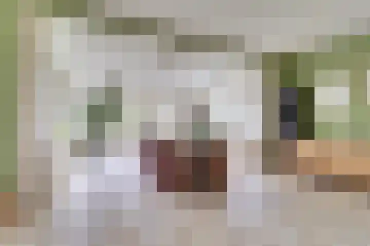 Korte Striep 3 Sint Anthonis thumbnail 22