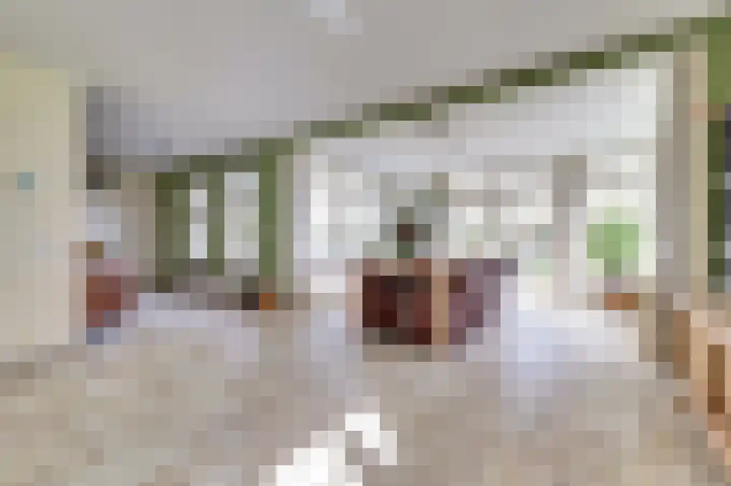Korte Striep 3 Sint Anthonis thumbnail 24