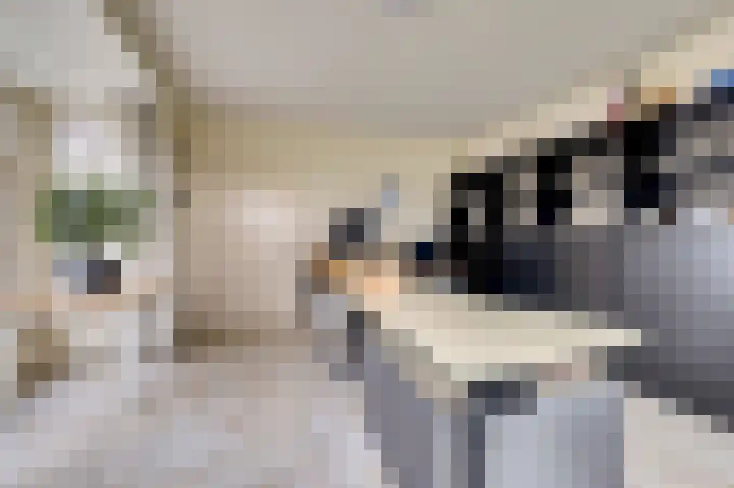 Korte Striep 3 Sint Anthonis thumbnail 30