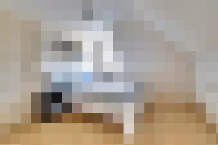 Korte Striep 3 Sint Anthonis thumbnail 43