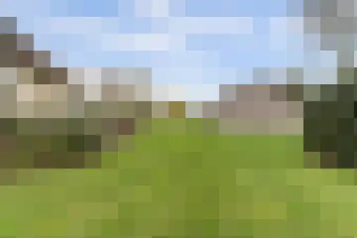 Korte Striep 3 Sint Anthonis thumbnail 64