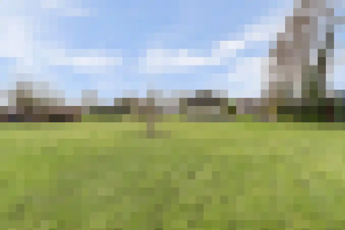 Korte Striep 3 Sint Anthonis thumbnail 72