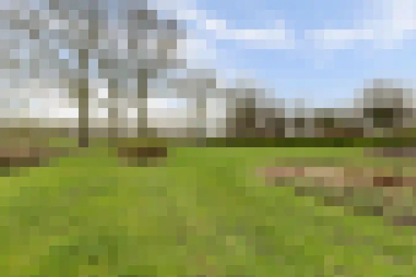 Korte Striep 3 Sint Anthonis thumbnail 79