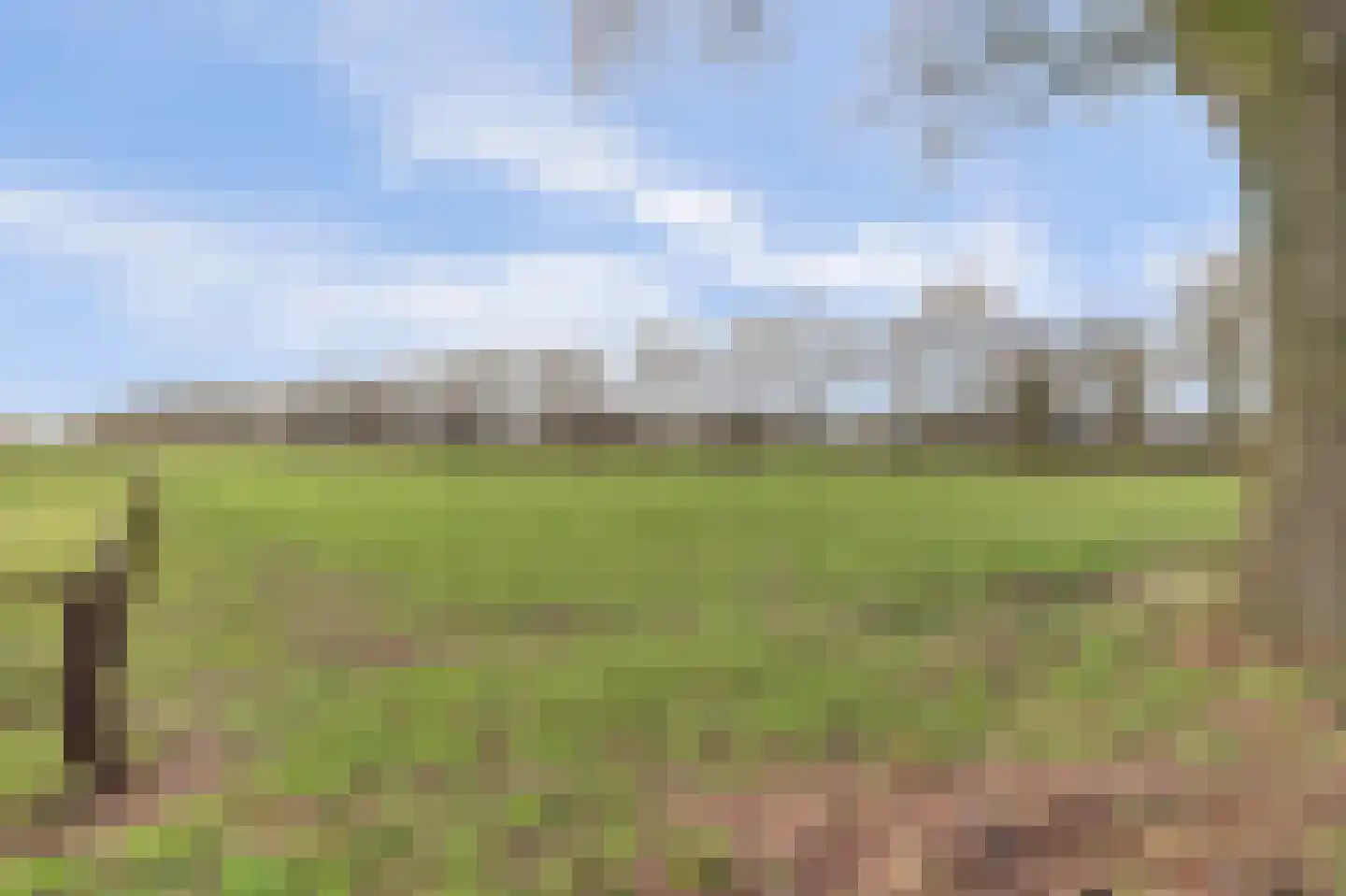 Korte Striep 3 Sint Anthonis thumbnail 80