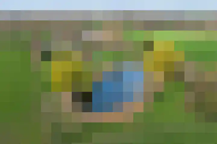 Korte Striep 3 Sint Anthonis thumbnail 82