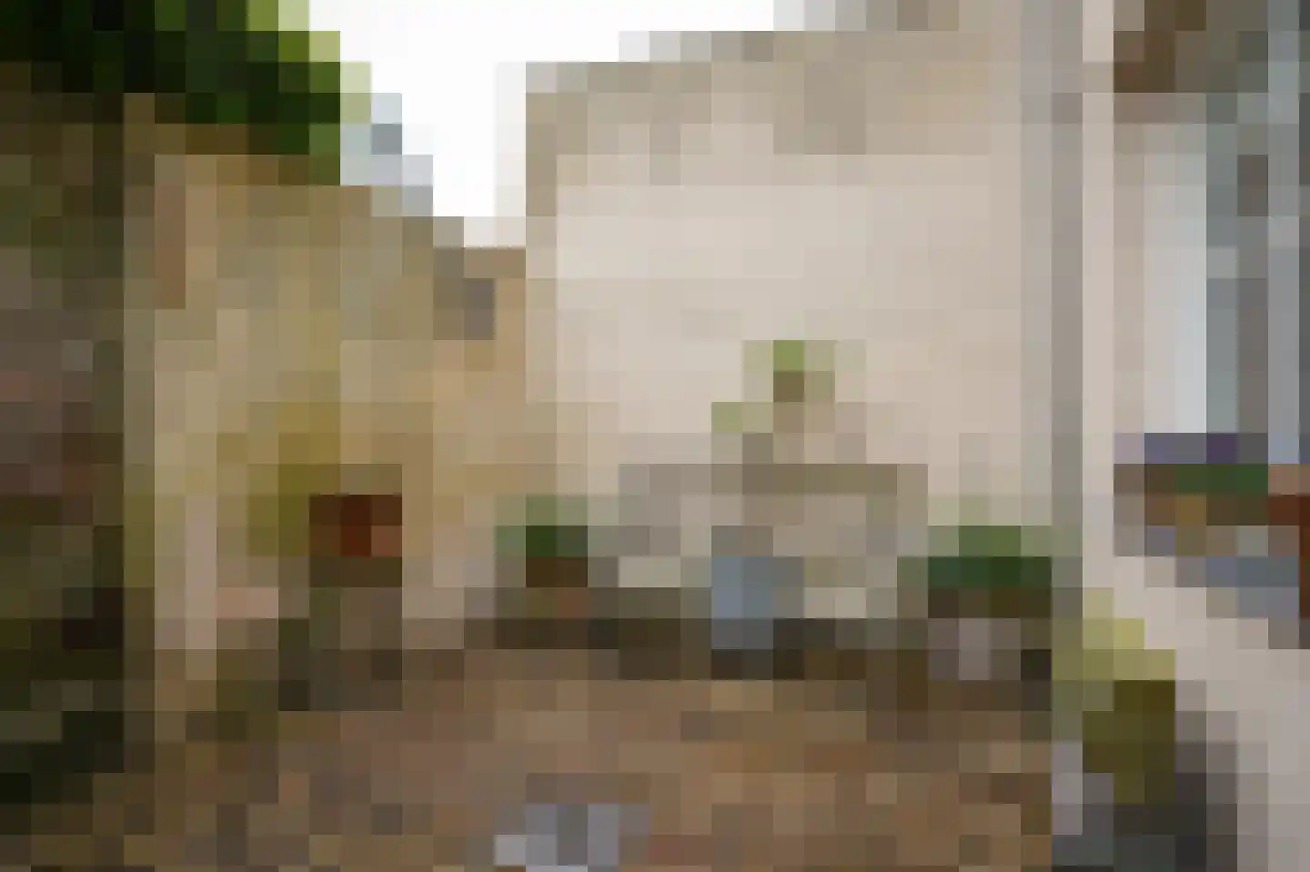 Korte Strikstraat 1 Zaltbommel thumbnail 24