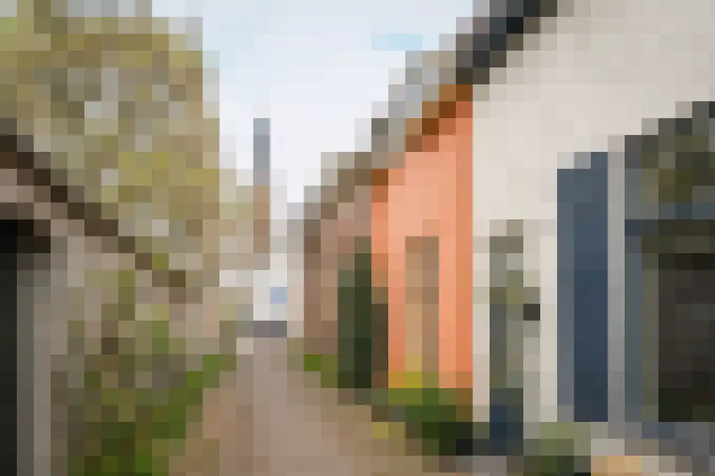 Korte Strikstraat 1 Zaltbommel thumbnail 29