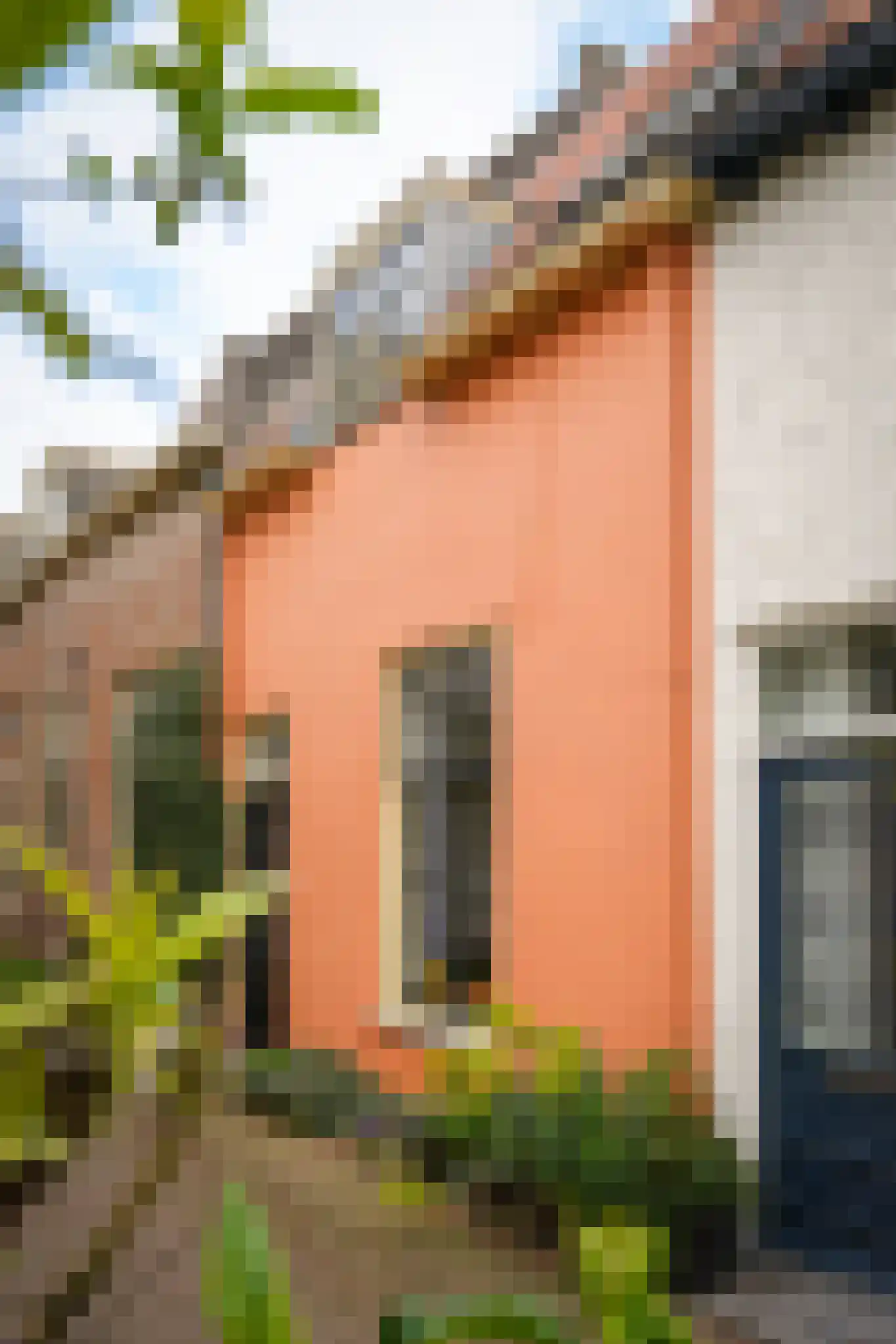 Korte Strikstraat 1 Zaltbommel thumbnail 35