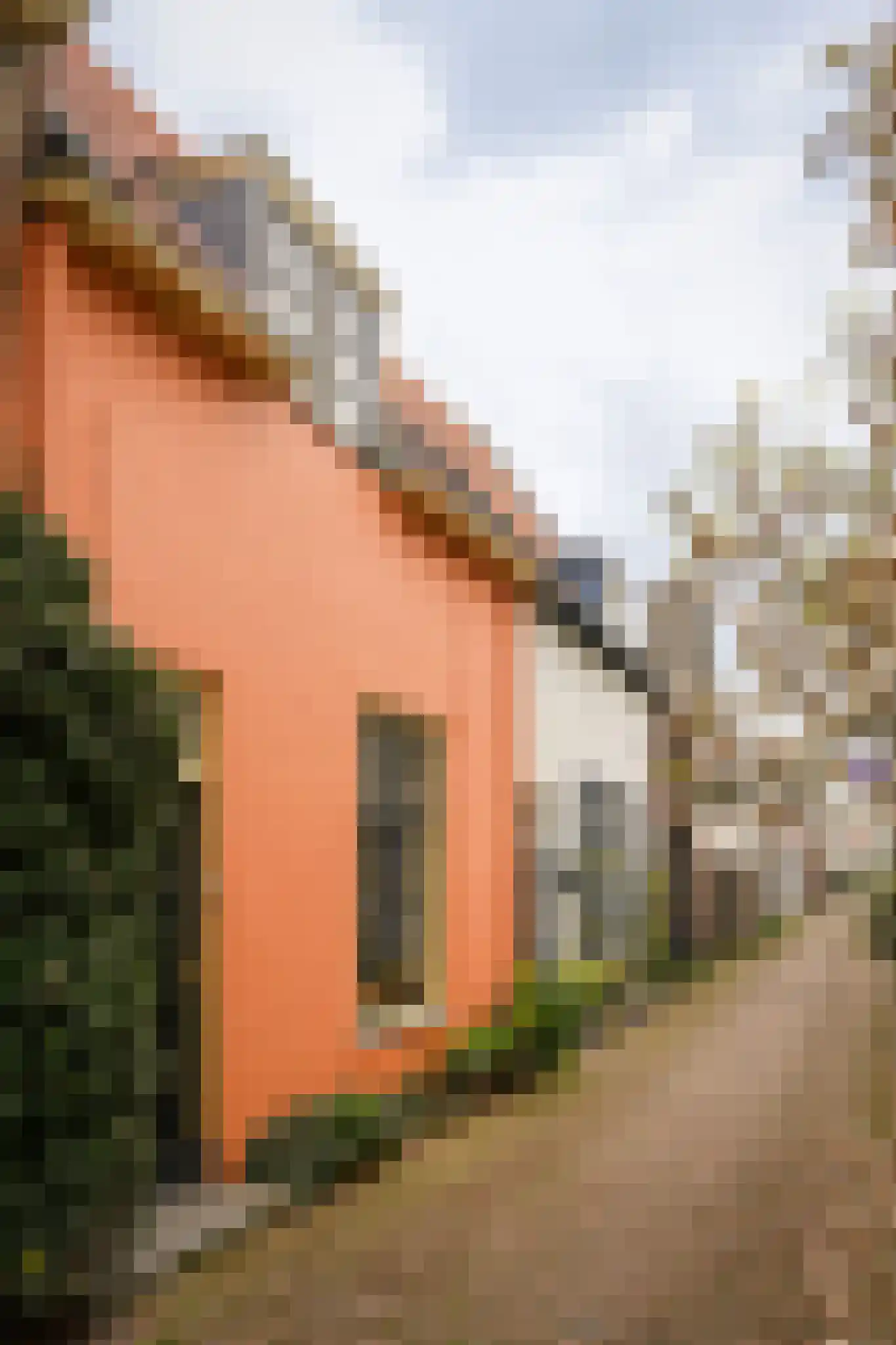 Korte Strikstraat 1 Zaltbommel thumbnail 36